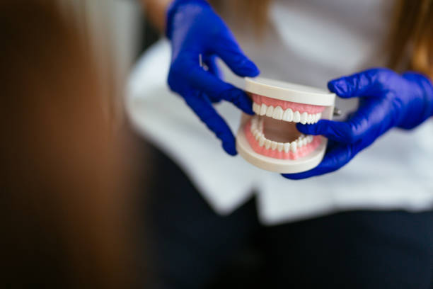 Best Dental Exams and Cleanings  in Winchester, IL
